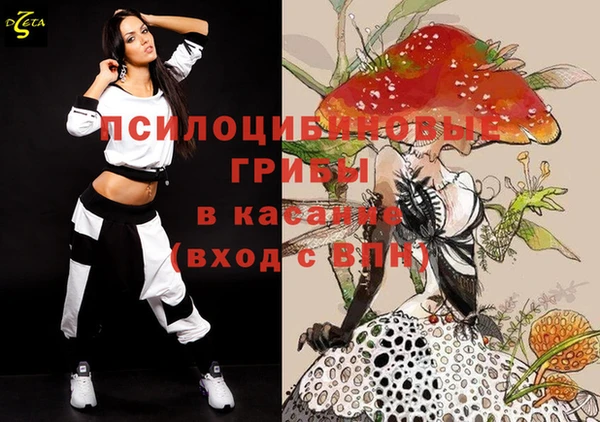 спайс Алексин