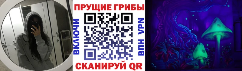 как найти   Мамоново  Псилоцибиновые грибы ЛСД 